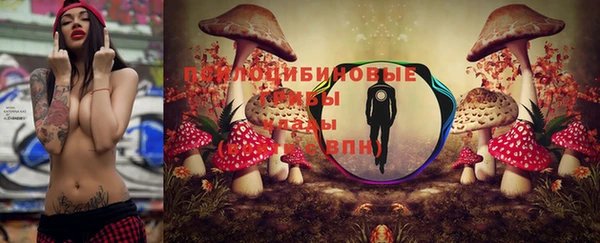 ALPHA-PVP Магас