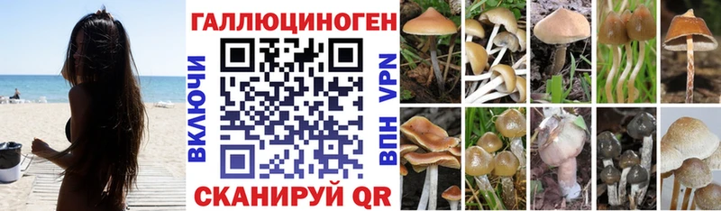 Галлюциногенные грибы прущие грибы  Лебедянь 